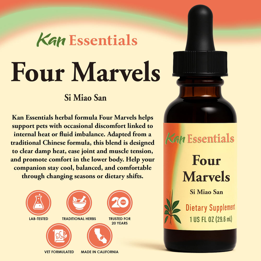 Kan Herbs Four Marvels dog image suggests gentle support for digestion during meals.