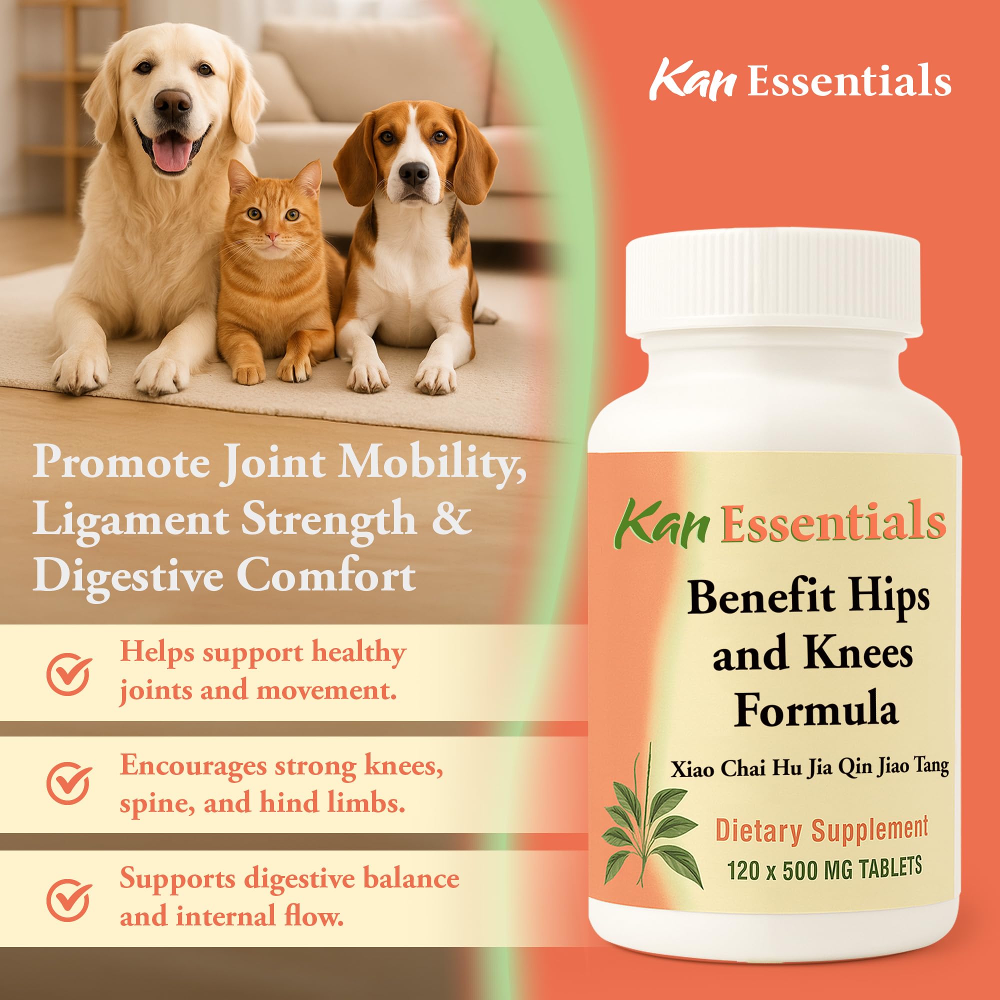 Kan Herbs ingredients close-up show herbs for holistic support.