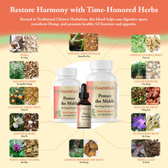Kan Herbs Protect The Middle herbal ingredients highlight plant-based blend.