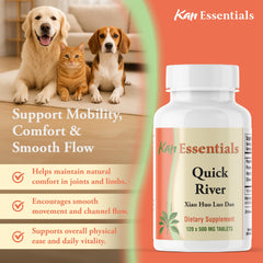 Kan Herbs Quick River scene with a playful pet illustrating daily wellness