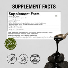 Ladakh origin imagery conveys purity and mineral richness in Kapiva Shilajit