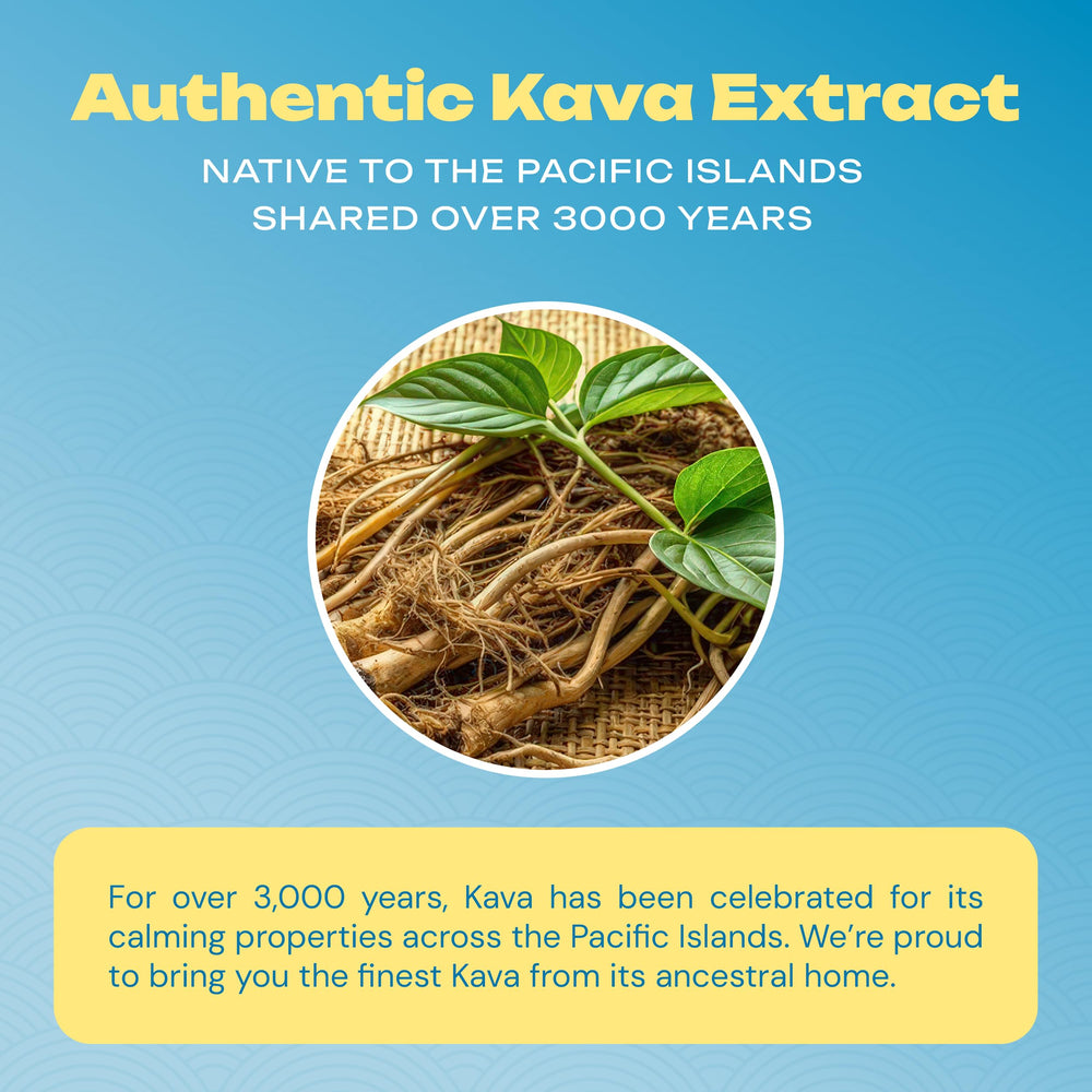 KAVA PUNCH ethical sourcing label reflecting clean ingredients.
