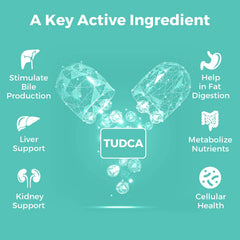 Kayseari TUDCA on a tidy desk scene suggesting everyday use and consistency.