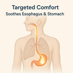 KBKTWOLT daily-use scene showing convenient routine for digestion.