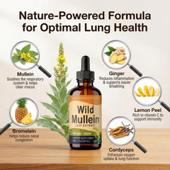 KBKTWOLT Wild Mullein Drops dropper enables quick, convenient daily dosing for respiratory comfort.