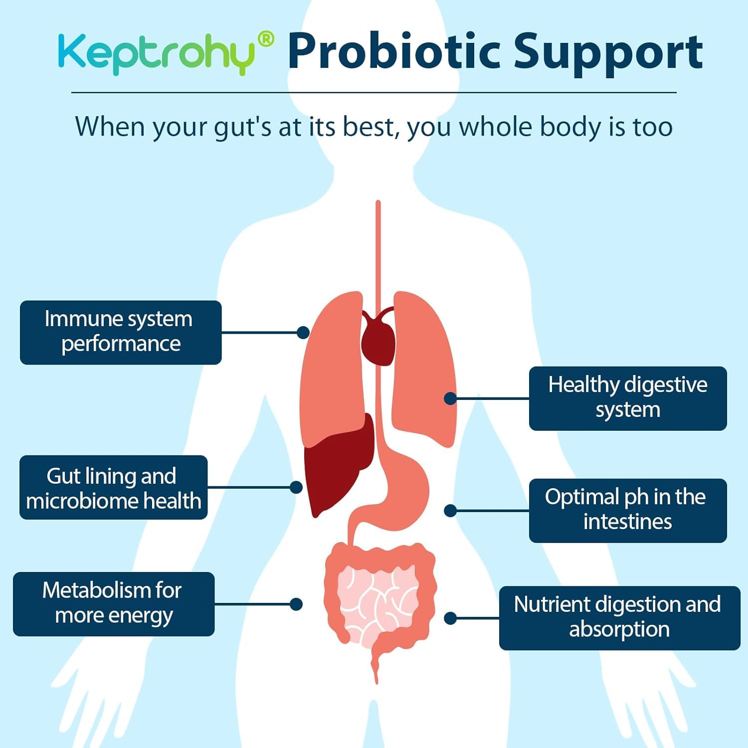 Keptrohy Probiotics daily dose capsule for gut balance and comfort