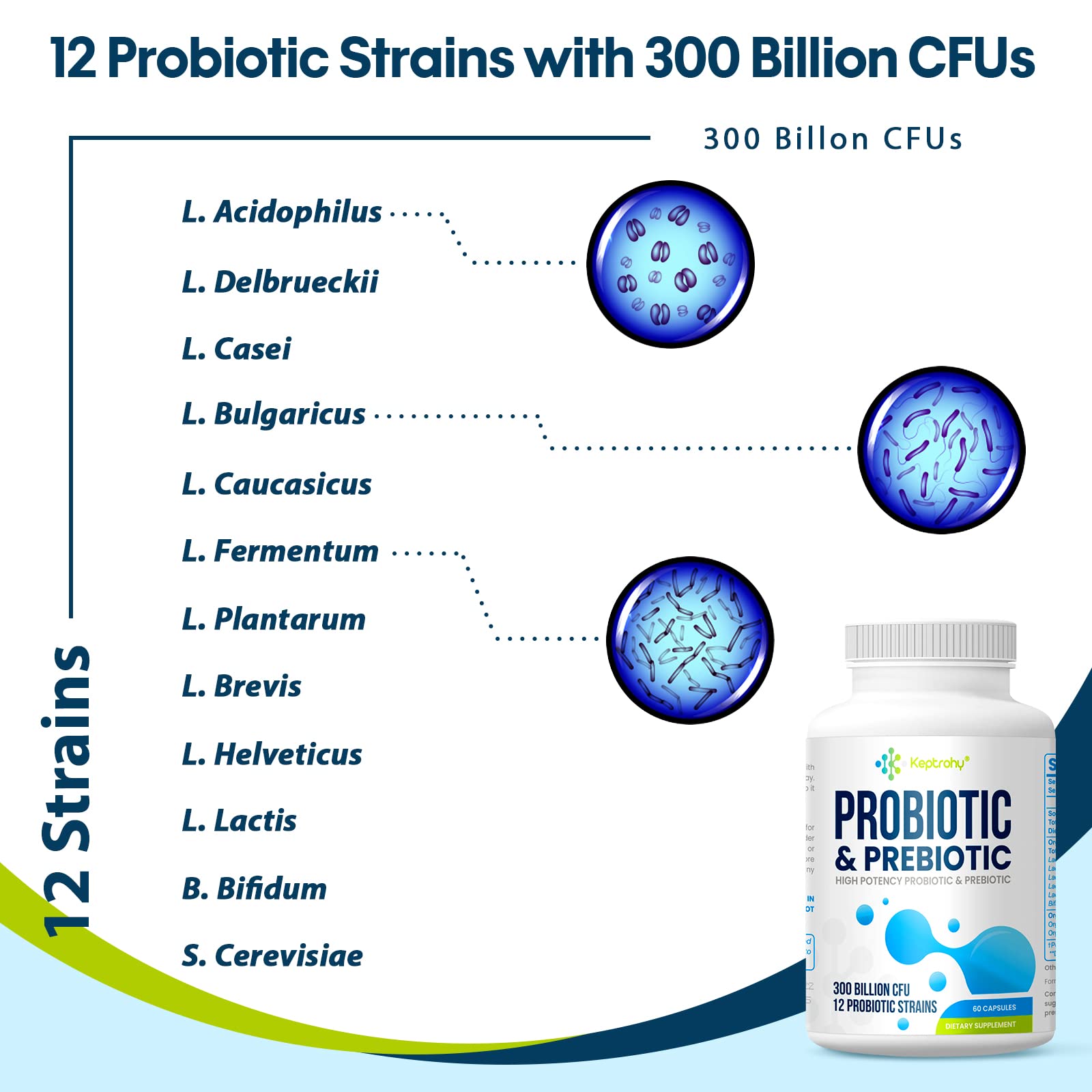 Third-party verification badge on Keptrohy Probiotics packaging