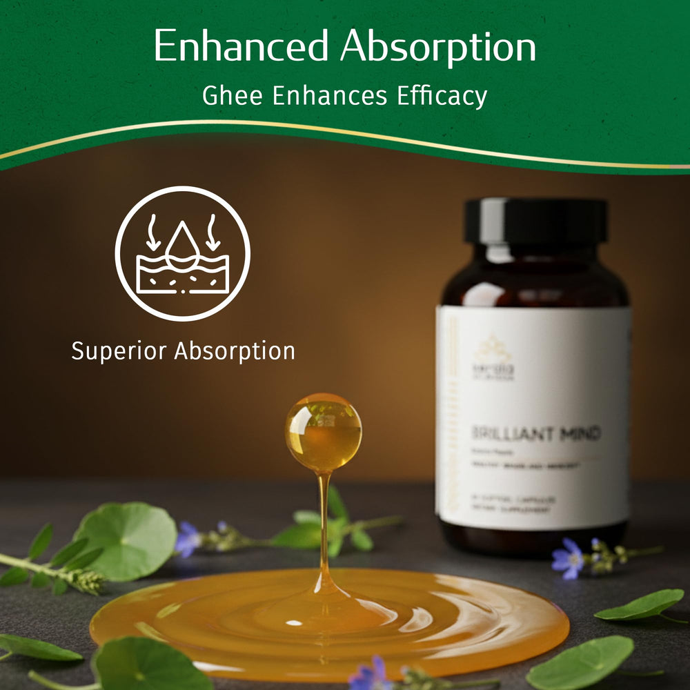 Kerala Ayurveda Brahmi Pearls packaging for travel highlights portable cognitive support