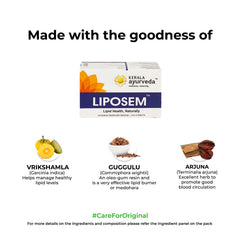 Kerala Ayurveda Liposem bottle back label detail for ingredients and usage.