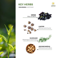 Pouring Sukumara Ghritham reveals smooth ghee texture and Ayurveda heritage.