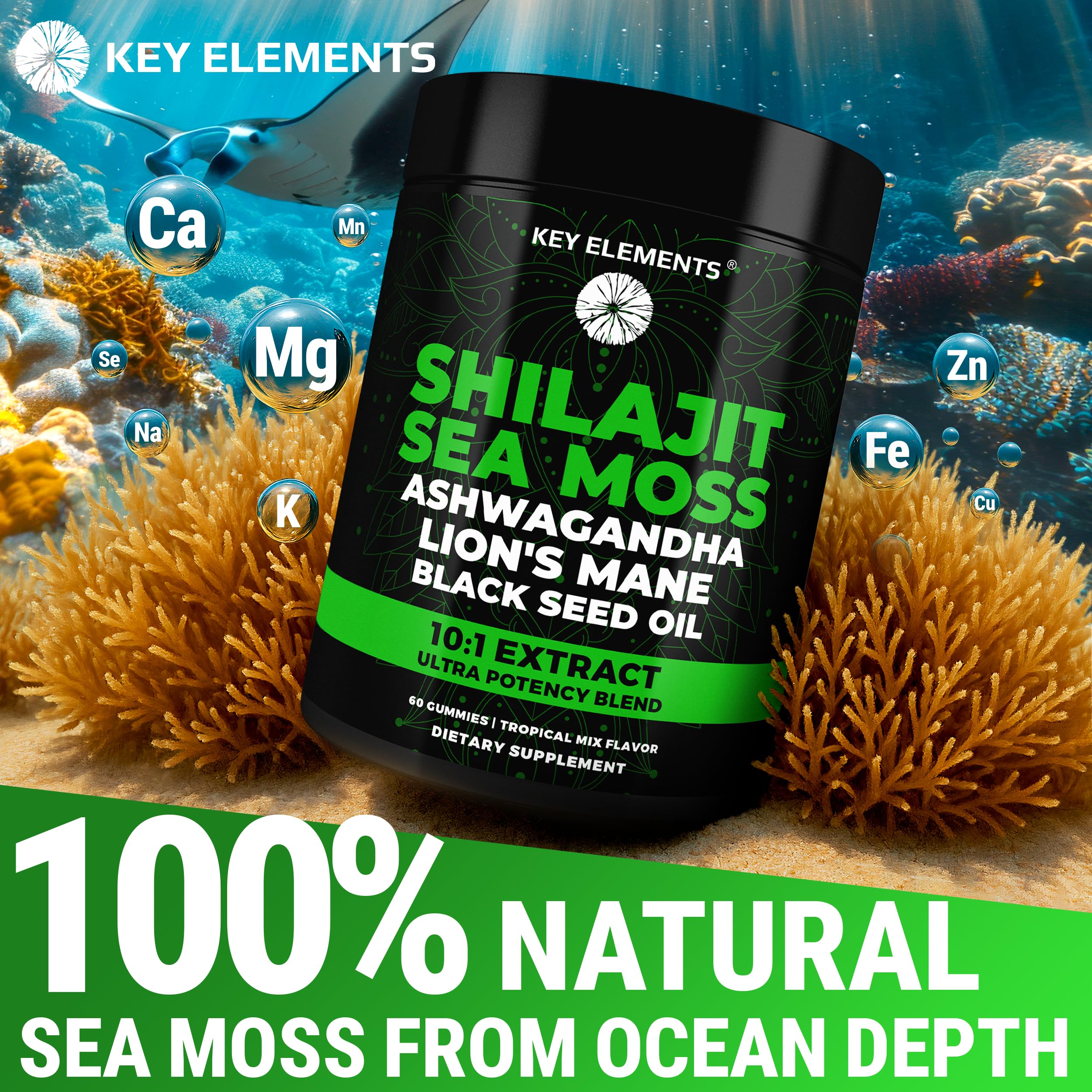 Key Elements Shilajit Gummies with Ashwagandha for soothing daily resilience.