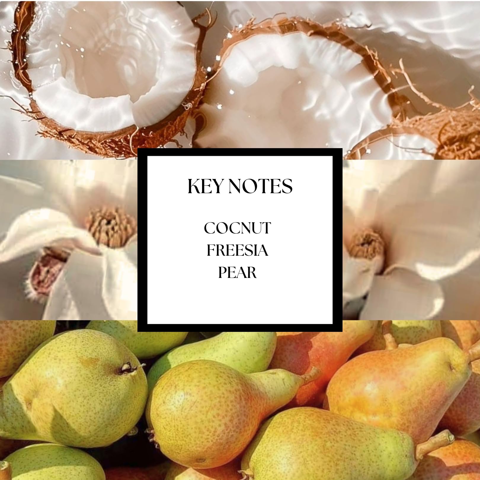 Khapri Beach Hotel Scent diffuser demonstrates quick aromatic diffusion for a serene space