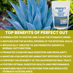 Packaging closeup of Kidney Restore Perfect Gut reveals product details and quality.