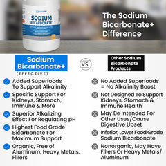 Kidney Restore Sodium Bicarbonate lime image highlighting hydration and digestion support.