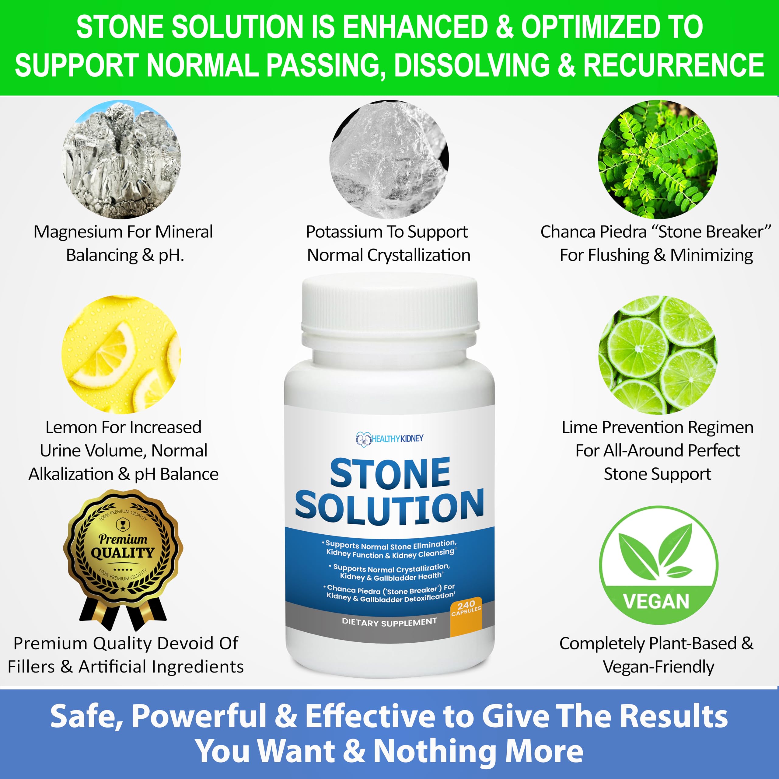 Chanca piedra ingredient closeup within Kidney Restore Stone Solution