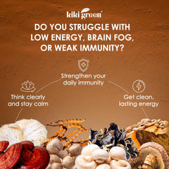 KIKI Green shiitake powder container adds rich texture to sauces and bowls