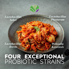 Kimchi Life fermentation process image highlights traditional methods for diverse probiotic support.