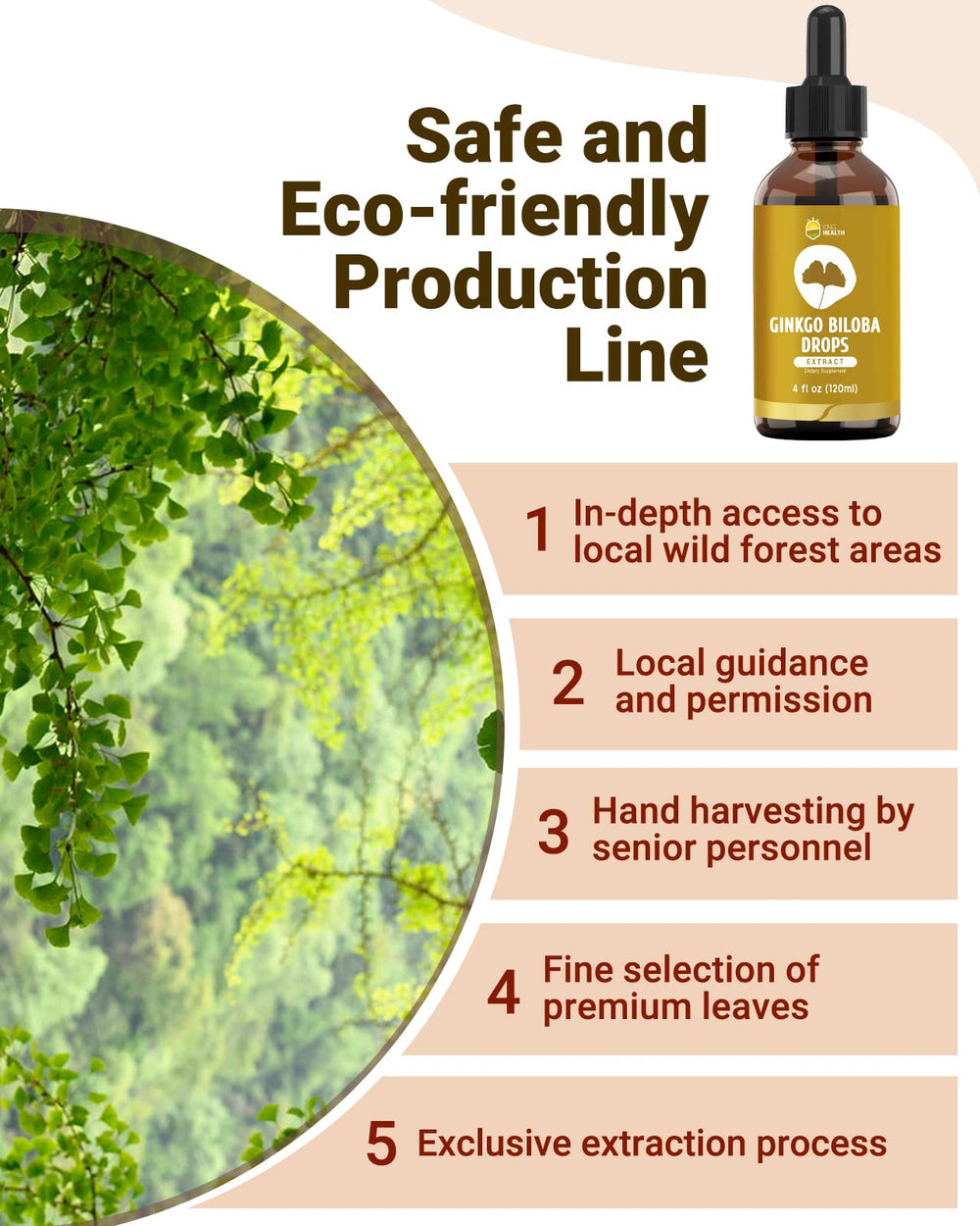 KingHealth Ginkgo Biloba Drops packaging highlighting vegan and Non-GMO features.