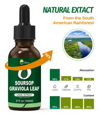 KingHealth organic soursop ingredients highlight natural sourcing for clean wellness.