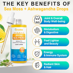 Kirwekes Sea Moss Drops Irish sea moss blend highlighting rich minerals.