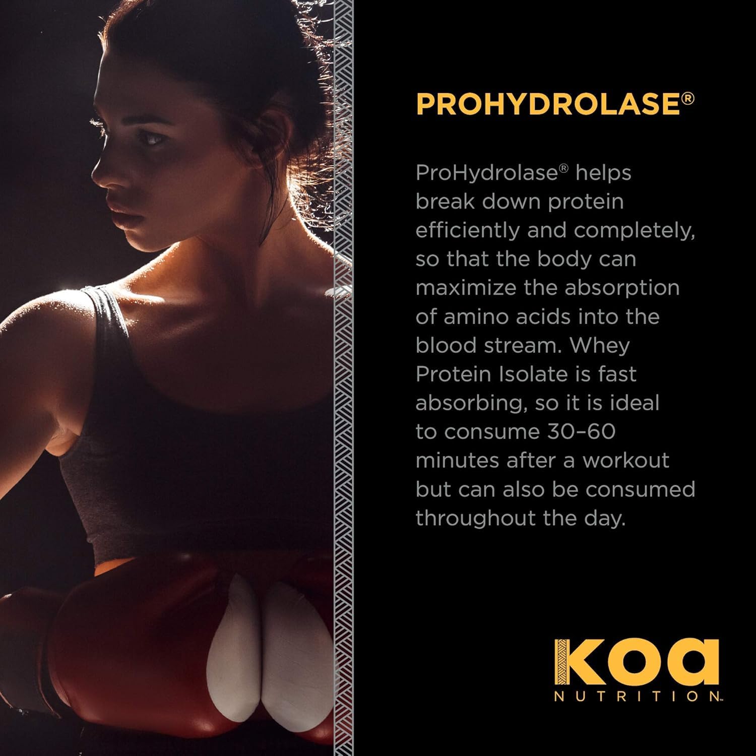 KOA Warrior Whey Isolate shake in glass highlighting low carb lean protein benefits.