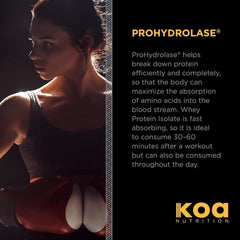 KOA Warrior Whey Isolate shake in glass highlighting low carb lean protein benefits.
