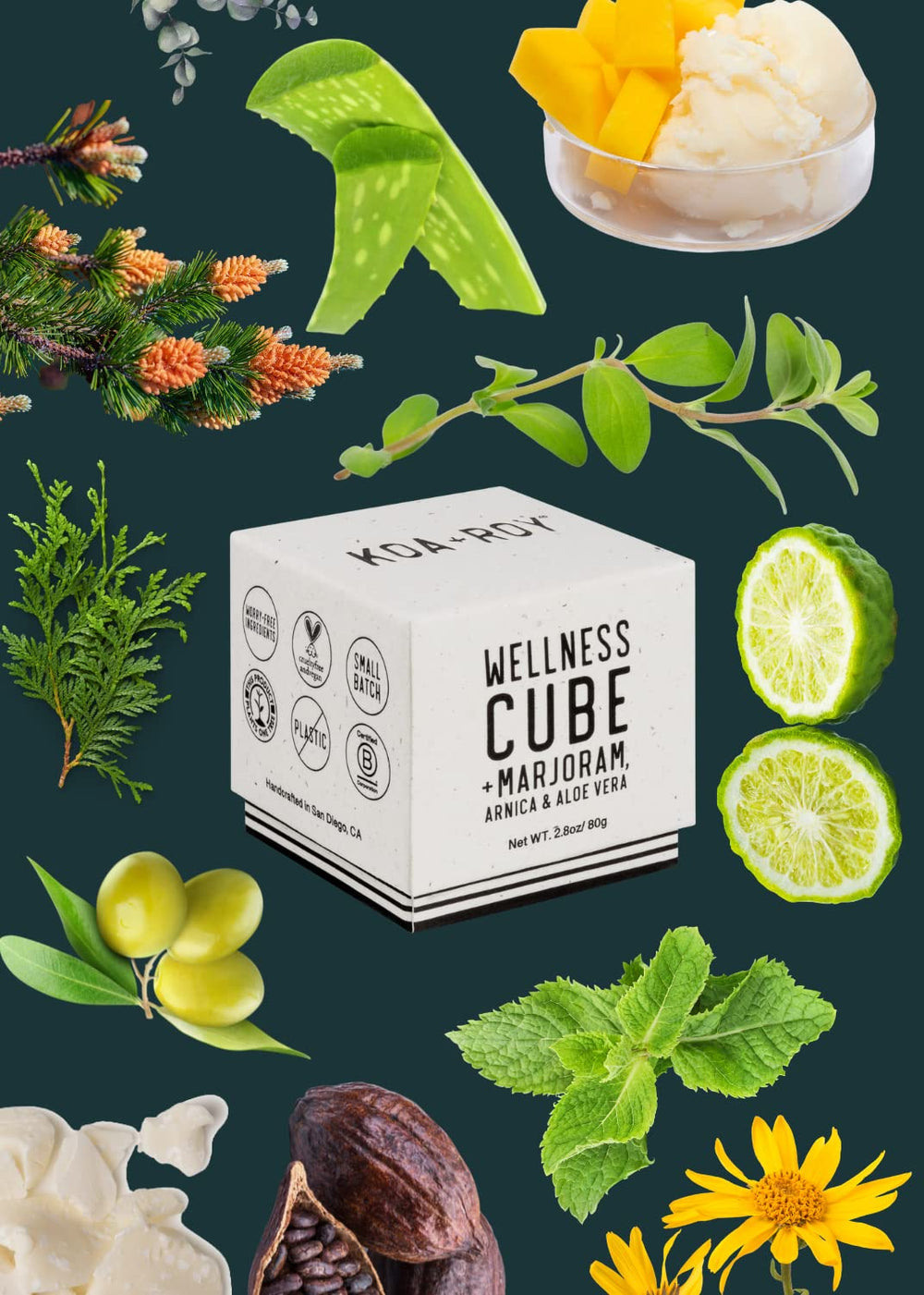 KOA ROY Wellness Cube releases oil for a quick pampering session