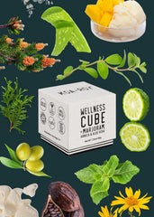 KOA ROY Wellness Cube releases oil for a quick pampering session