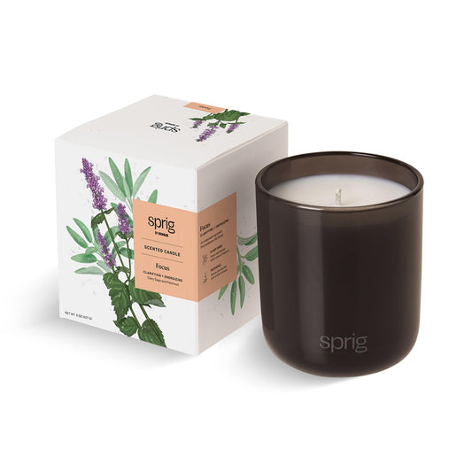 Sprig by Kohler candle wax close-up showing natural soy-coconut blend for a clean burn.