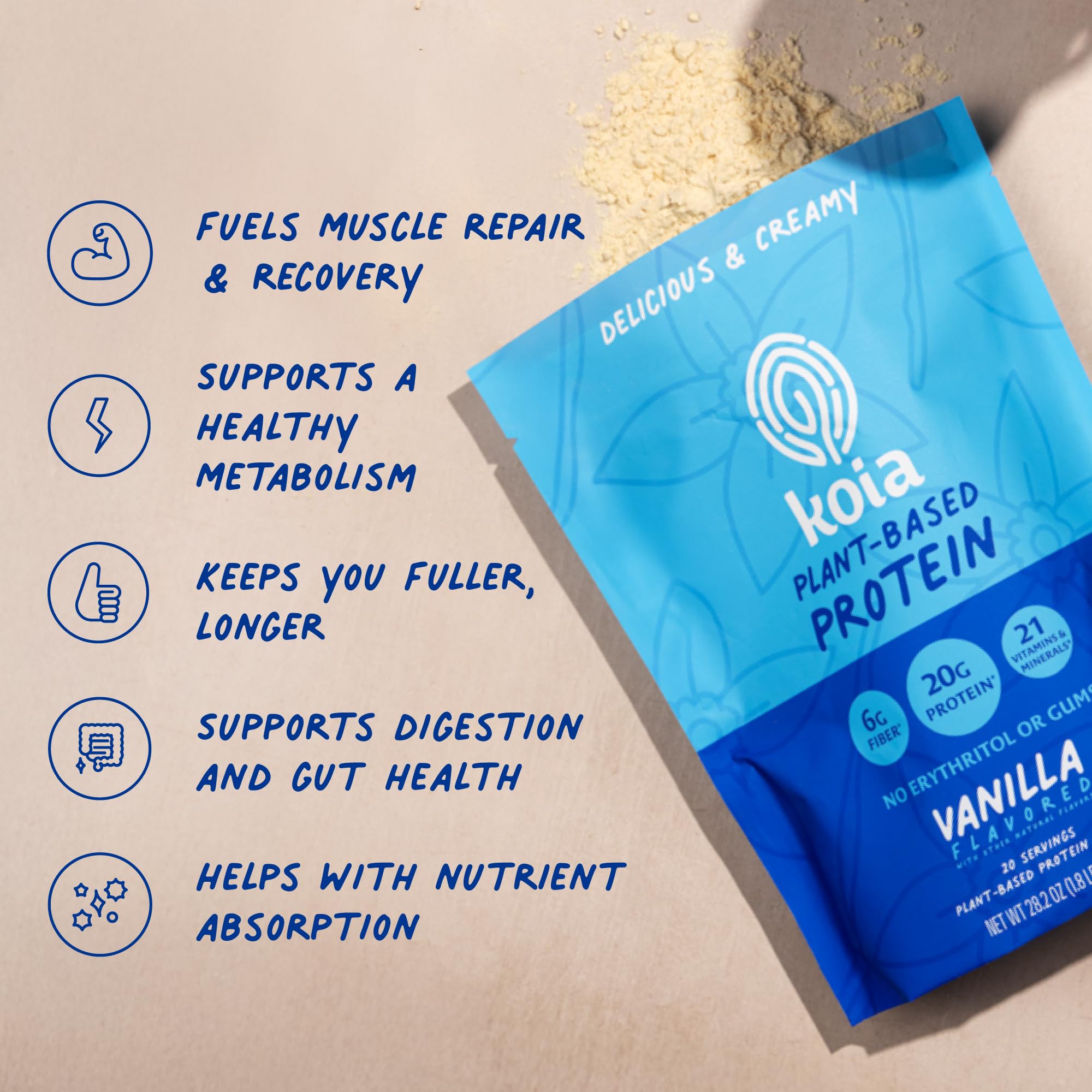 Chicory root illustration with Koia vanilla protein powder ingredients