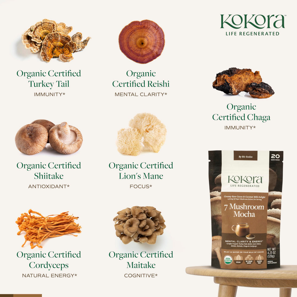 Kokora 7 Mushroom Mocha cacao powder on spoon, rich flavor for daily ritual.