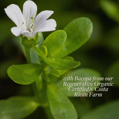 Kokora Regenerative Bacopa certification badge indicating regenerative organic standards.