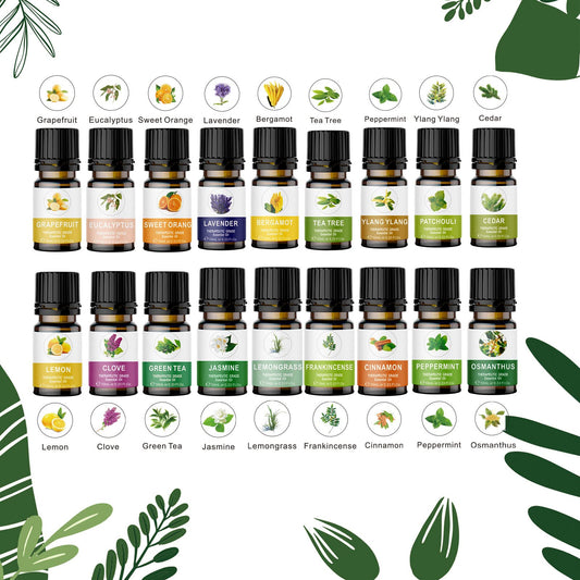 KOURUILIFE organic oils diffusion use, bottles arranged for home aromatherapy