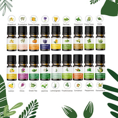 KOURUILIFE organic oils diffusion use, bottles arranged for home aromatherapy