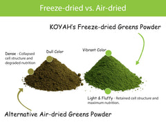 KOYAH greens powder dissolves easily in water for quick greens boost