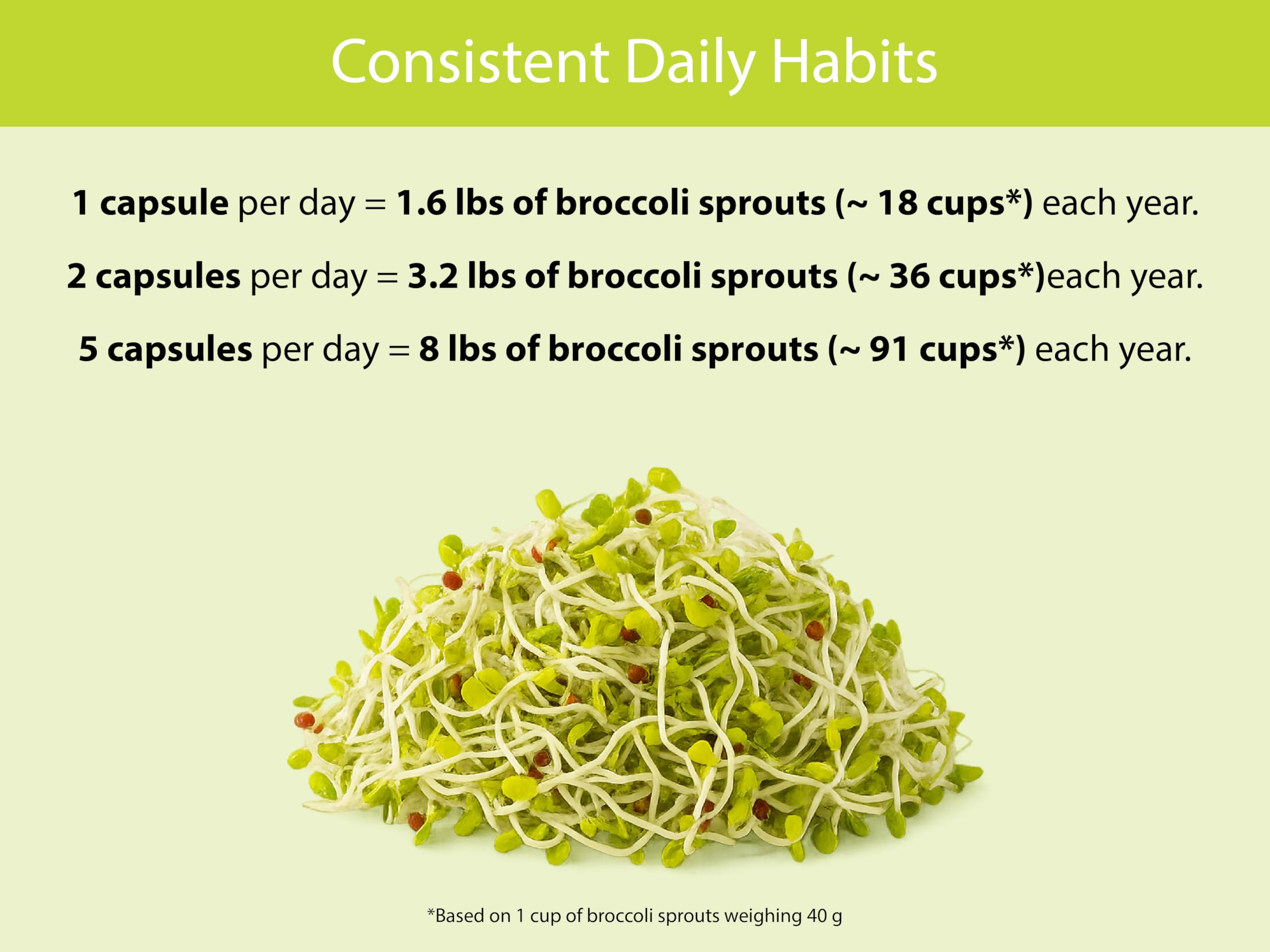 KOYAH USA grown organic broccoli sprouts image