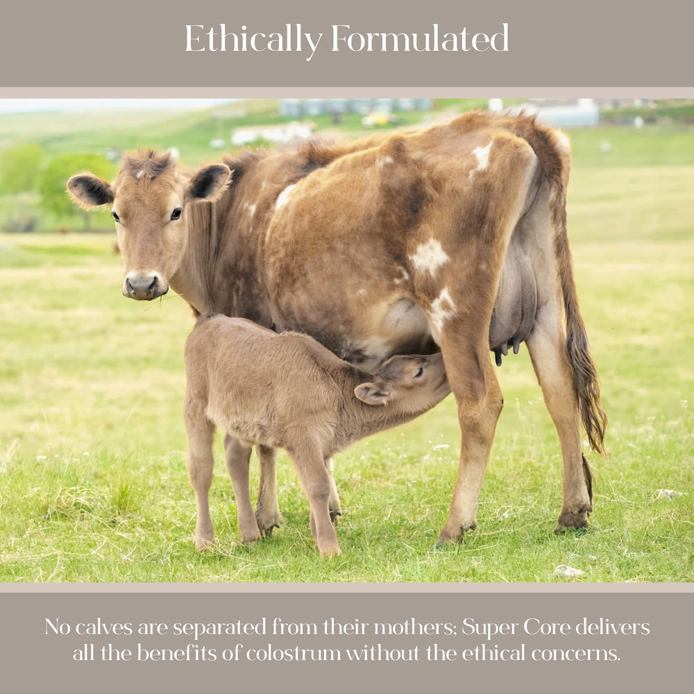 KROMA ImmunoLin immune peptides display the blend for resilient wellness.