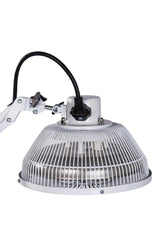 KS 9800N anti-tilt switch enhances safety during use.
