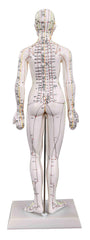 KS Acupuncture Model plastic base option offers quick setup.