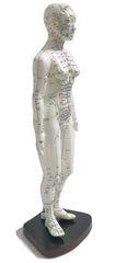KS Acupuncture Model soft PVC texture provides durable teaching feel.