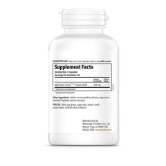 Kyolic Aged Garlic Extract capsules in hand, odorless formula designed for gentle digestion.