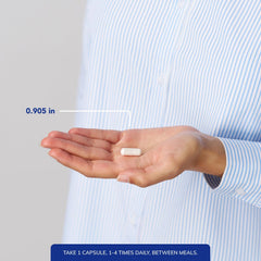 L-Tyrosine capsules on morning table suggest daily intake between meals