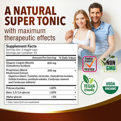 LABO Nutrition Bioactive Lingzhi Reishi Ultra vegan capsules on a clean background.