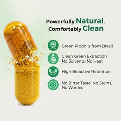 LABO Nutrition Brazilian Green Propolis Ultimate artepillin C graphic showing potency.
