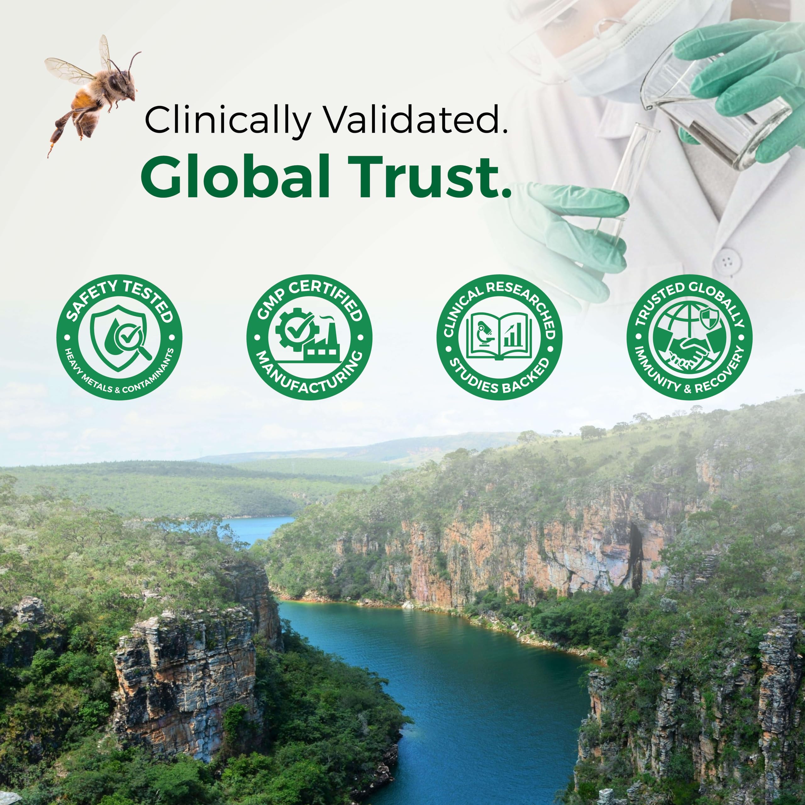 LABO Nutrition Brazilian Green Propolis Ultimate ingredients close-up panel.