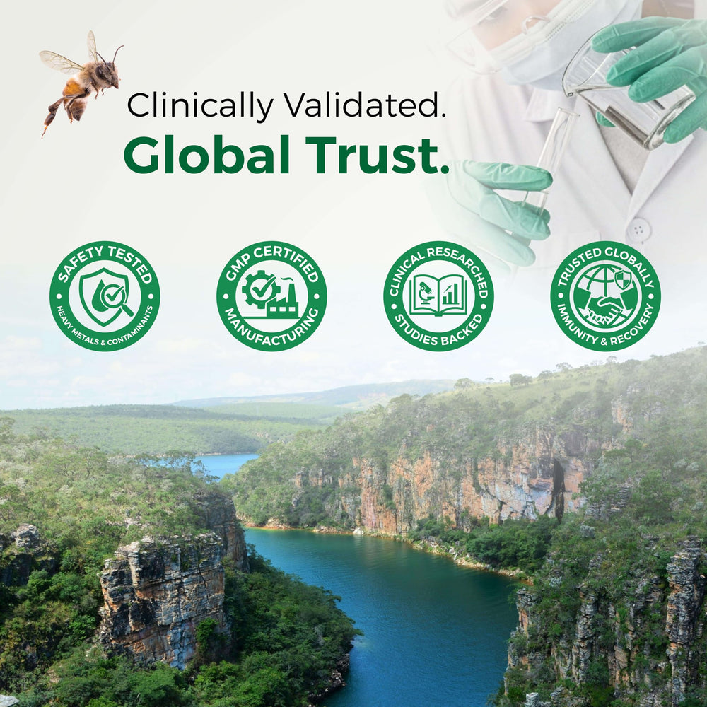 LABO Nutrition Brazilian Green Propolis Ultimate ingredients close-up panel.