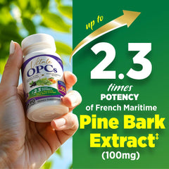 LABO Nutrition Vitale OPCs capsules ready for daily antioxidant support.