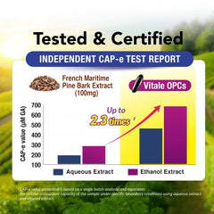 LABO Nutrition Vitale OPCs ingredients chart hinting at polyphenol richness.
