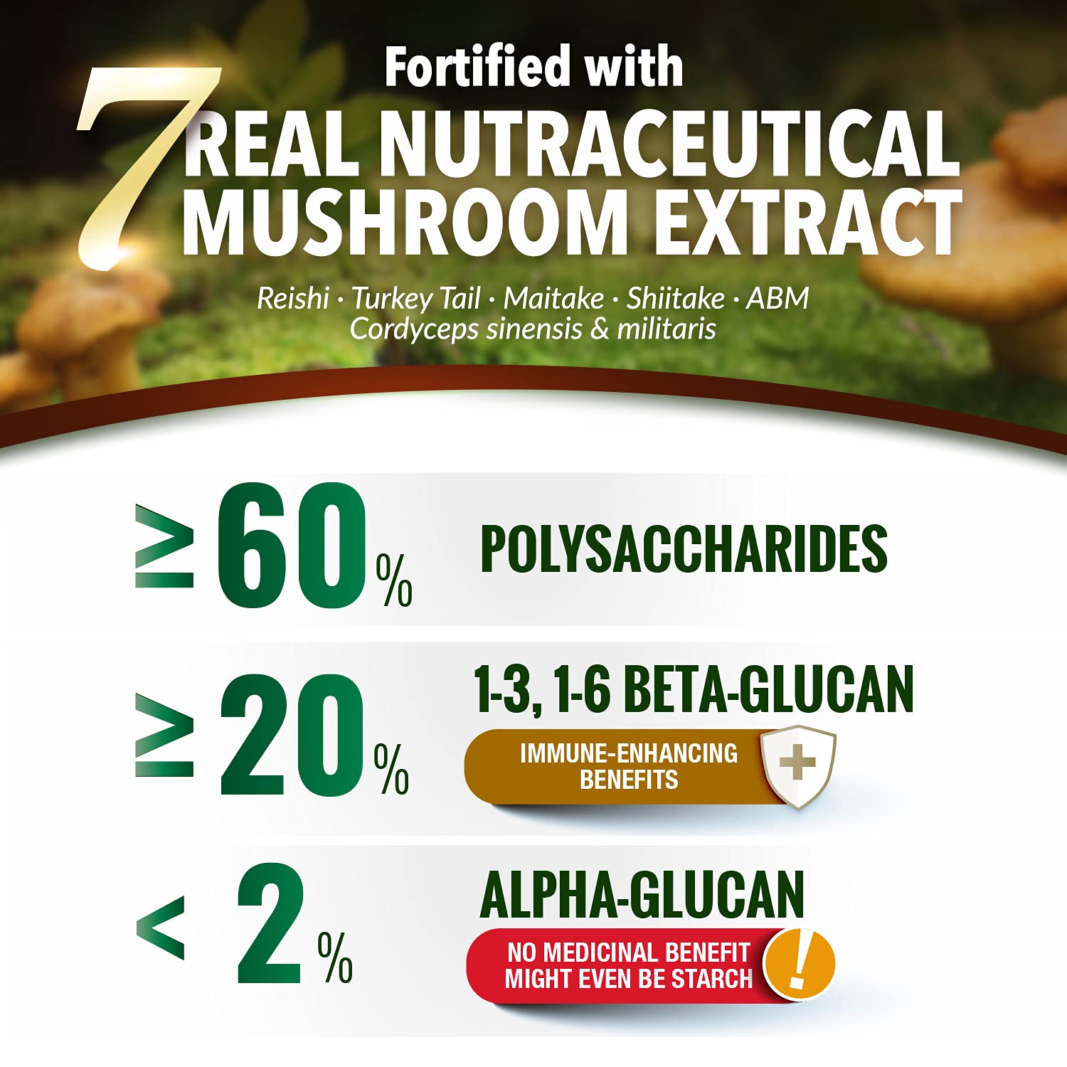 LABO Nutrition Agaricus Ultra closeup reveals seven mushroom extracts rich in color and aroma.