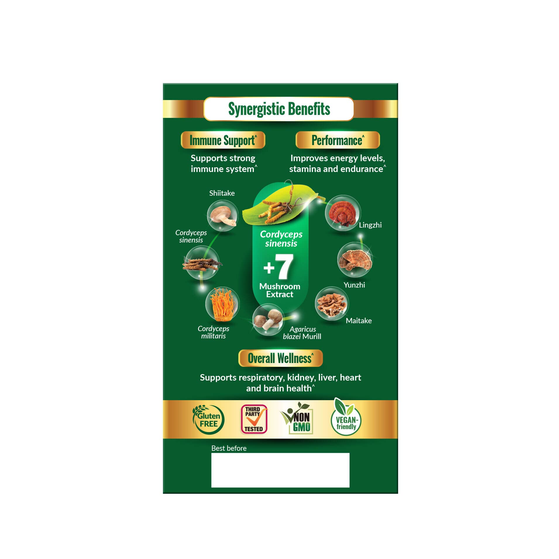LABO Nutrition Bioactive Cordyceps Ultra package shot presents premium organic supplement ready for daily use